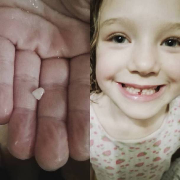 16836592_10156052438208916_5416517469820740894_o