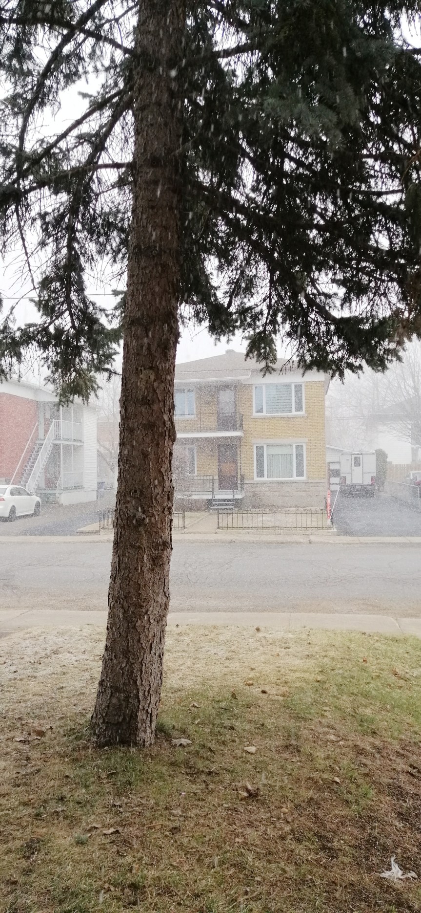 Alakul, nem alakul – ilyen nálunk most a tanulás (és egy kis&nbsp;mentegetőzés)